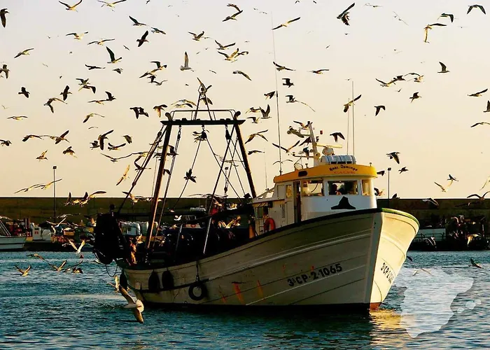 Costablancadreams Capri In *