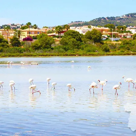 Costablancadreams Capri In Lejlighed *